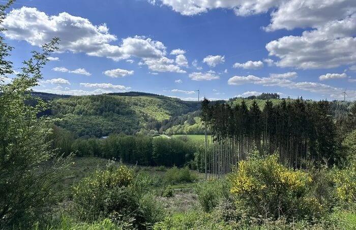 Wiltz Valley Hike & Brewery Experience